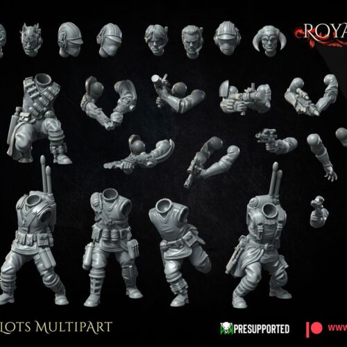 Royal Pilots Multipart