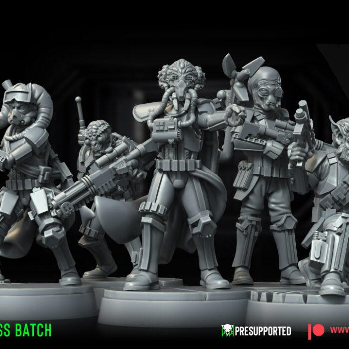 the picture shows a miniature called Bad-Ass Batch.