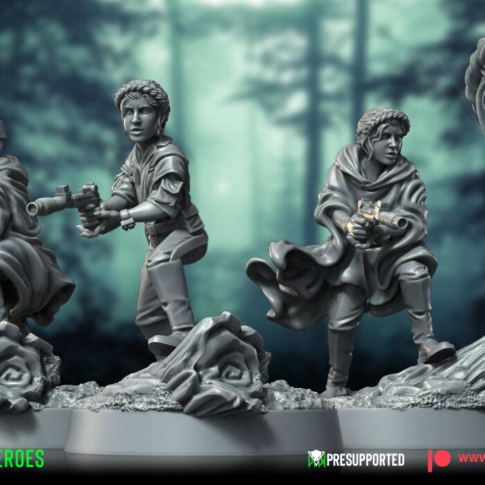 the picture shows the miniatures Forest Heroes