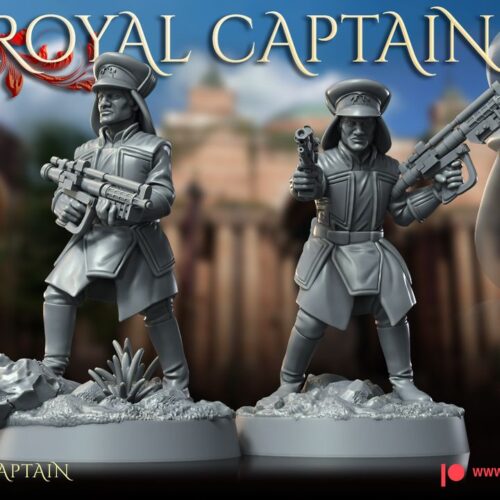 the miniature in the picture is called Royal Captain